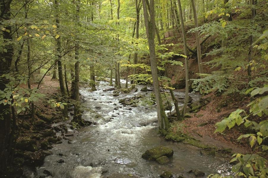 Fewo Hof Elbbachtal ヴェスターブルク エクステリア 写真