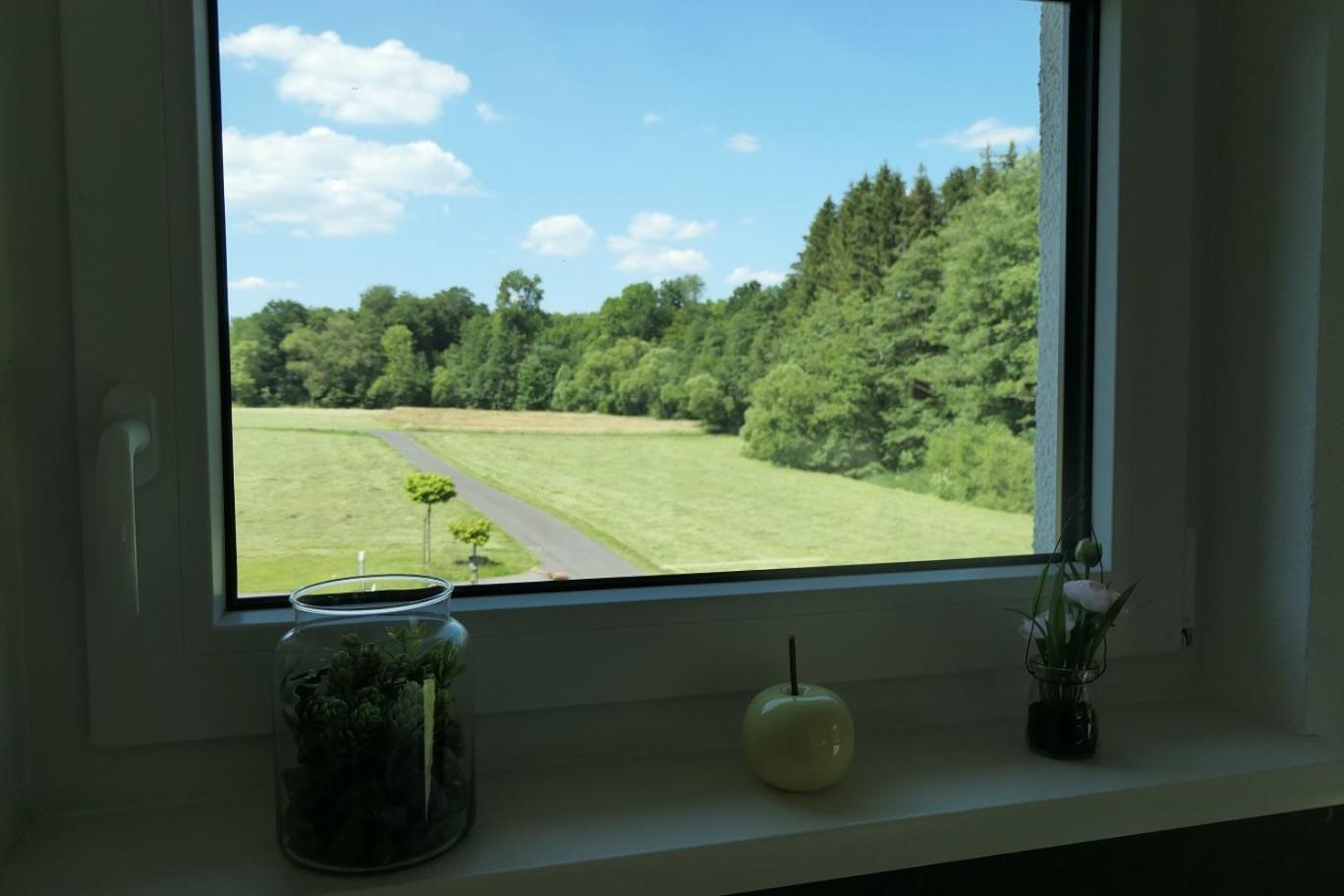 Fewo Hof Elbbachtal ヴェスターブルク 部屋 写真